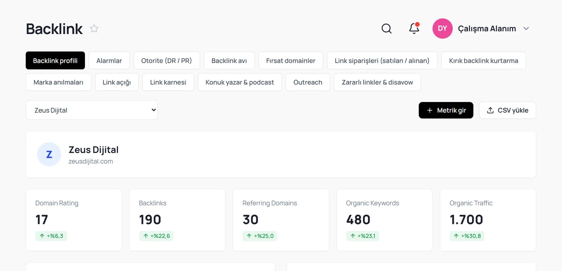 Backlink ekranı: sekmeler, Domain Rating, backlink sayısı, referans veren alan adı, sıralanan kelime ve organik trafik kartları